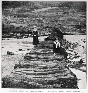 The Natural Wharf circa 1880s