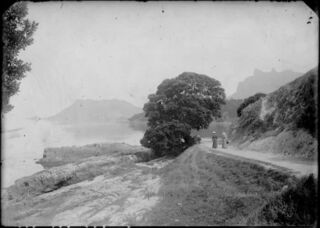 The Road from Urquhart Bay.