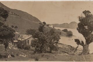 McKenzie Bay, Whangarei Heads