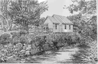 Pencil Drawing by Mike Ferris,